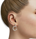 Circle Cluster Diamond Dangle Earring image 0