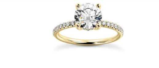 Hidden Halo Diamond Engagement Ring diamond close up details