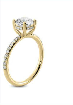 Hidden Halo Diamond Engagement Ring side view
