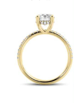 Hidden Halo Diamond Engagement Ring profile